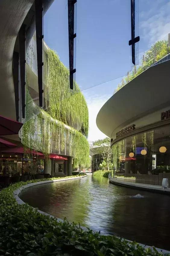 植物窗帘图案,植物窗帘效果图大全