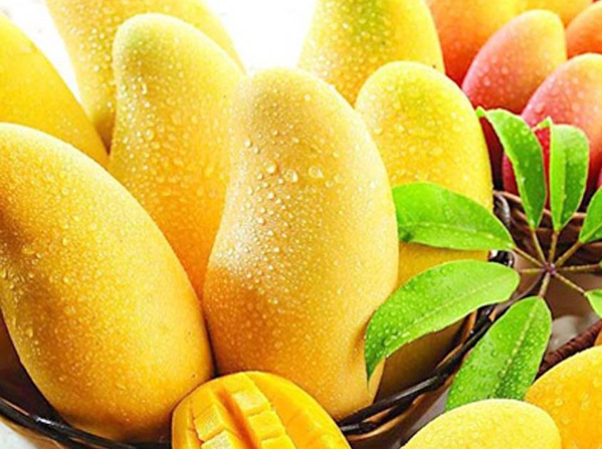 买青芒果要买什么样的是最好的,在网上怎么挑选好的芒果