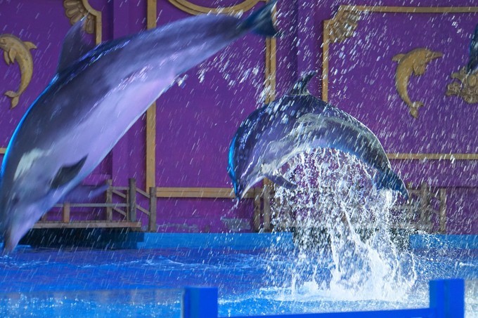 米米乐全部视频,东阳市横店米乐