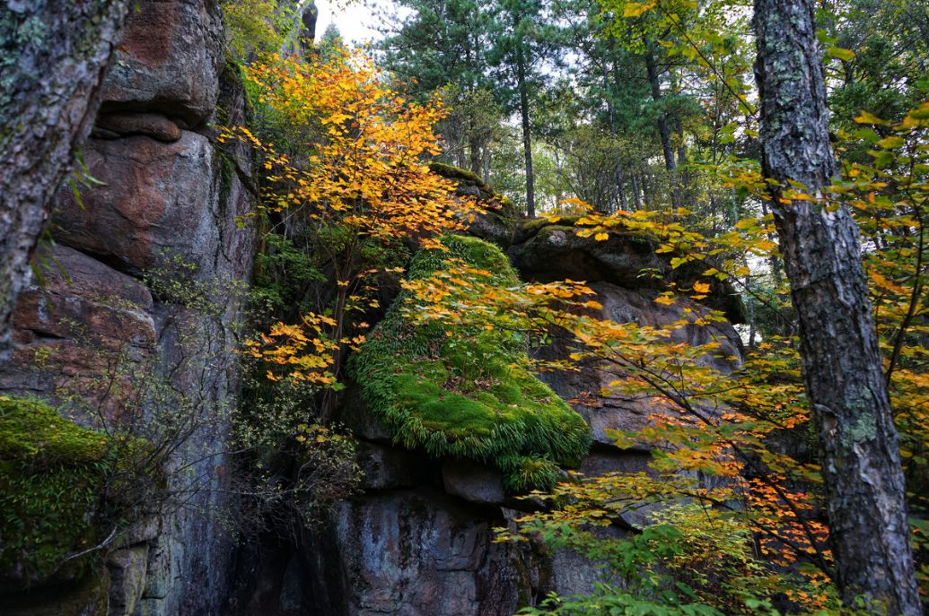 我存了256G的小黄片想和你深夜一起看