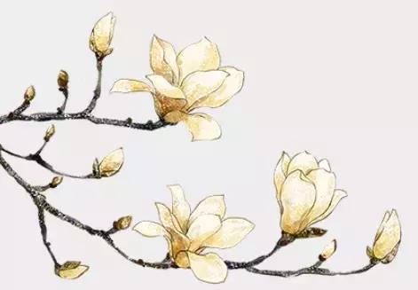 传承中医造福人间,传承中医造福百姓