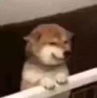 前男友用ysl三件套求我复合发现是微商那里买的假货只要12.5?