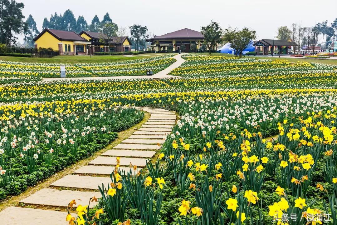 于城市后花园遇见生活美学石象湖景区美skr人！