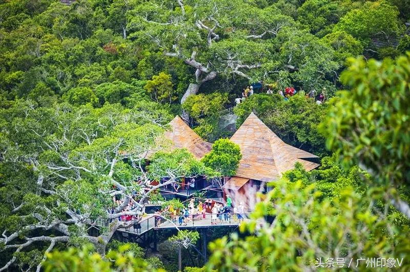 十一月份去三亚怎么最便宜,去三亚380块钱够不够