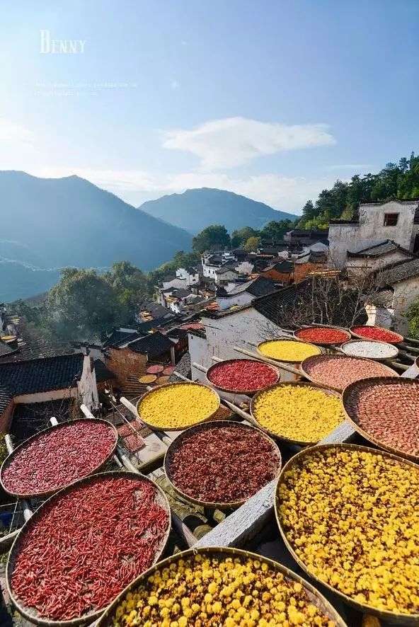 秋天的婺源什么时候去最美,秋天的婺源是色彩的天堂