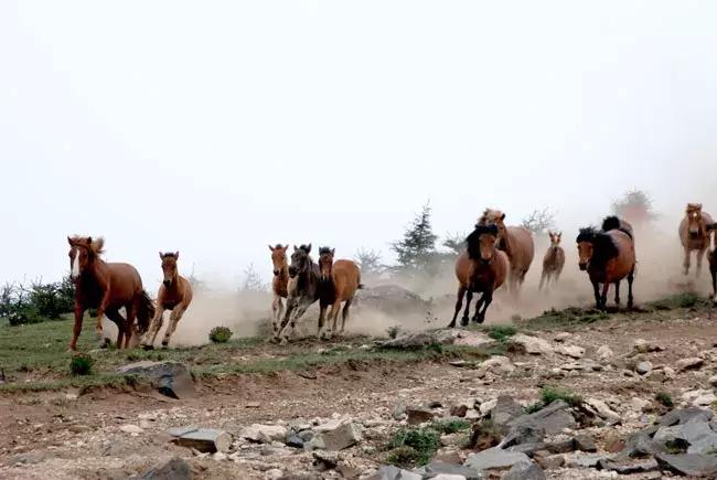千年古县山水图,千年古县山水之城