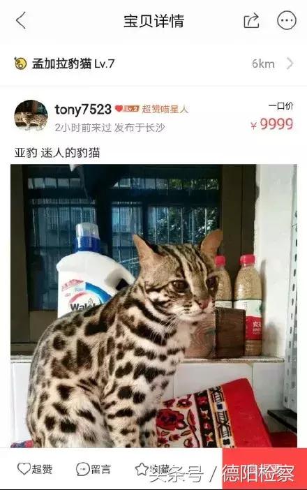 闲鱼低价卖动物,闲鱼能卖动物吗