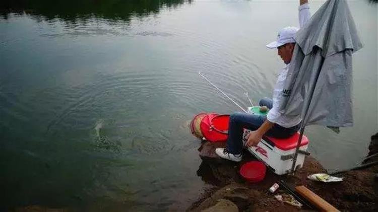 串钩钓鱼技巧和注意事项,串钩钓鱼技巧和方法