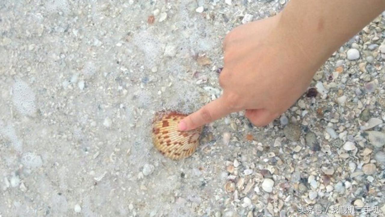 去泰国旅游不能碰什么东西,去泰国为什么不能碰有图案的叶子