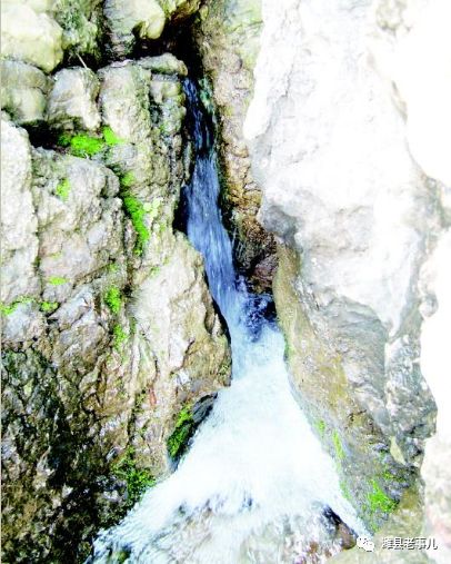 潍县有泉无?且看《寻泉记》!