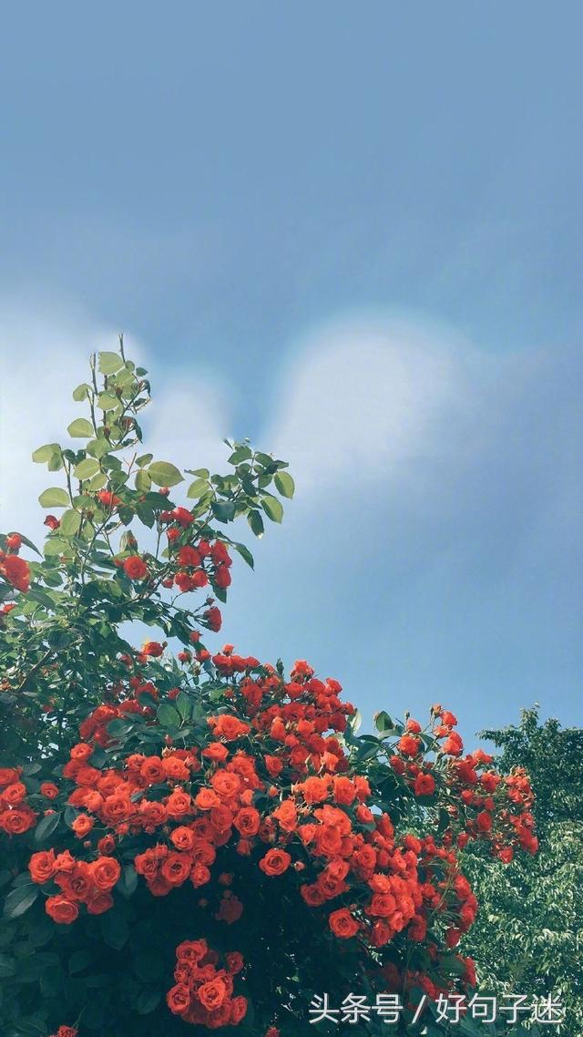 心情语录精致走心句句说到心窝上,一句话心情签名精辟走心短句