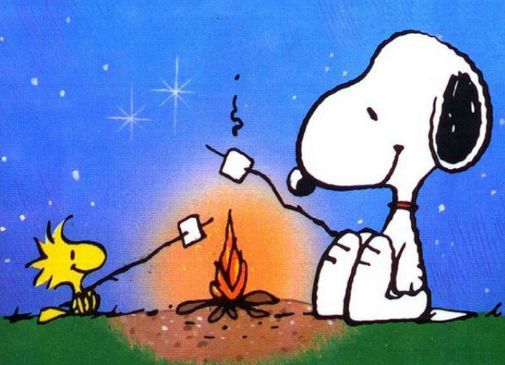 教你几句日语让你在日本混三年,一句日语都不会如何去日本