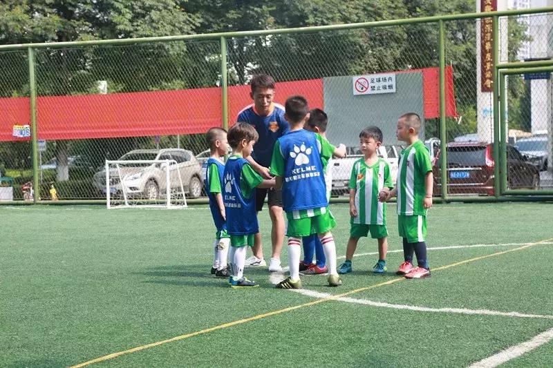 教师节感恩有你诗朗诵,教师节感谢一路相伴的良师益友