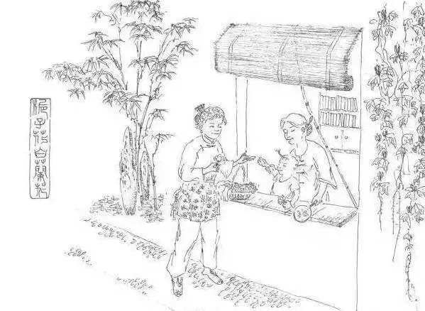 因为不关心刘强东和咪蒙，我快被这世界淘汰了