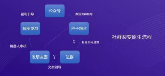 如何引流建群做全员社群营销,社群营销微信群裂变