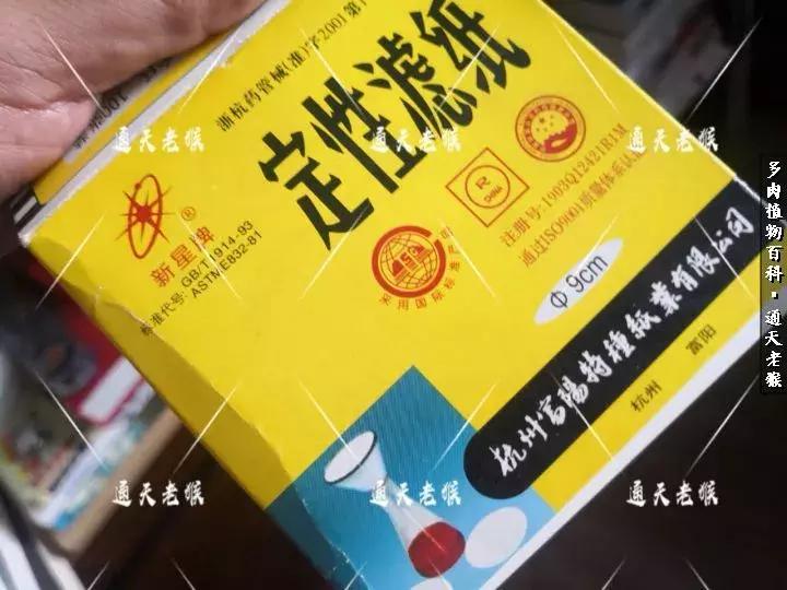 多肉播种洗种子全过程：是时候展现真正的技术了！