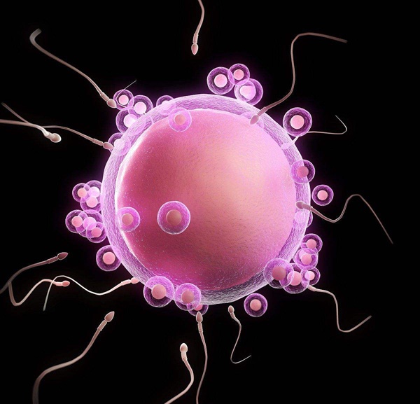 想怀宝宝,“命中率”最高并不是排卵日“恩爱”,而是每月这几天