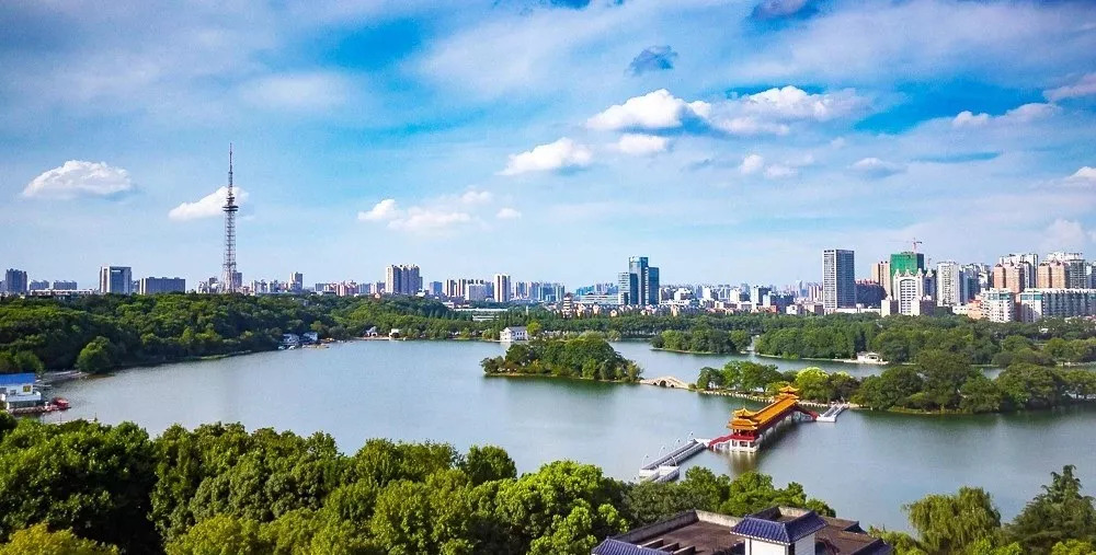长沙水族乌龟直播,观赏龟直播在线观看