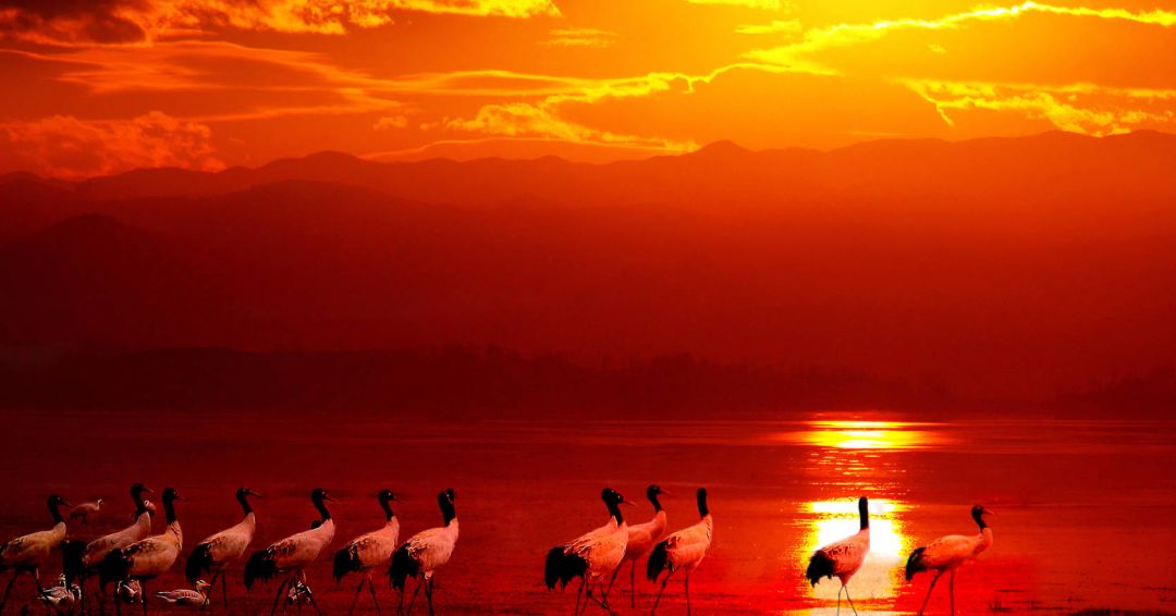 贵州什么季节最合适去旅行,未来三年贵州旅游攻略计划