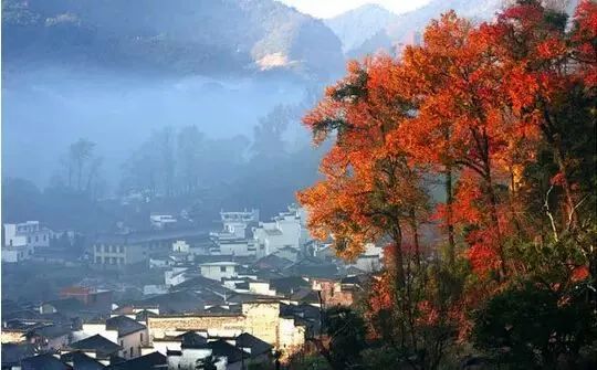 婺源的秋天真美,秋天的婺源什么时候去最美