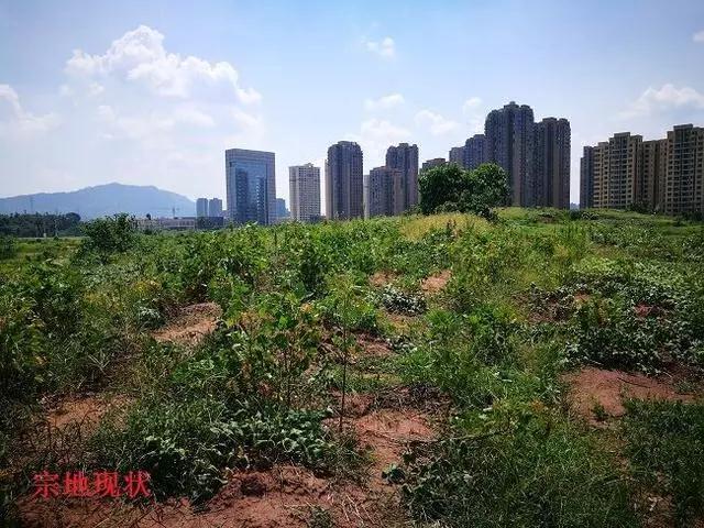 吴长江在雷士还有股份吗,雷士照明创始人吴长江的商海沉浮