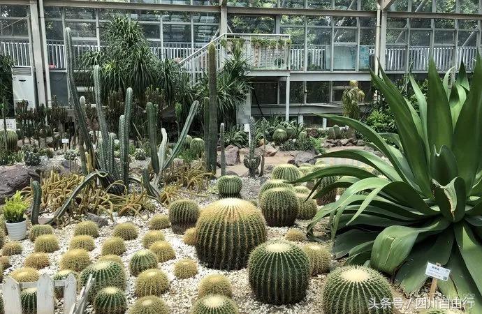 推荐成都5日游最完美攻略,有没有详细的成都旅游攻略