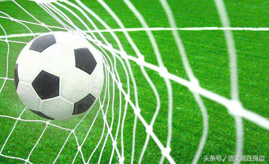 语文就在身边vlog,语文在我身边视频