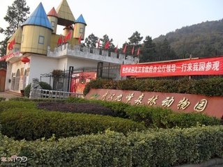 武汉春游一日游攻略,武汉最强春游攻略在此