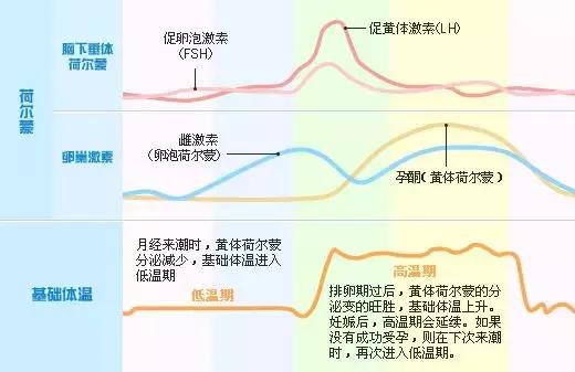 月经量少体内毒素排不出来怎么办,月经量少体内毒素排不出来