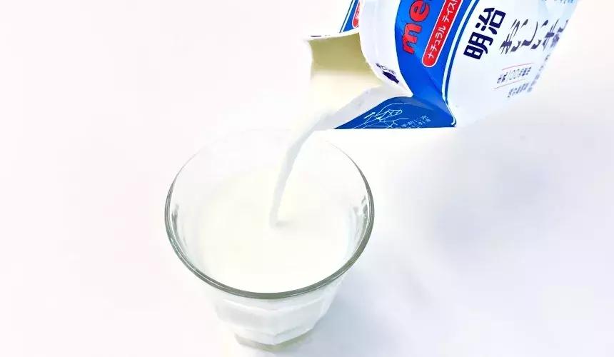 日本平价牛奶排行榜,日本超市纯牛奶