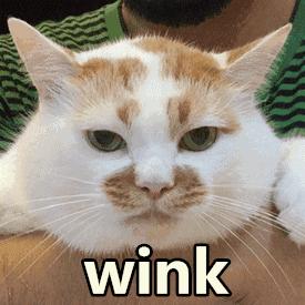 奚梦瑶被吐槽视频,奚梦瑶被吐槽的视频