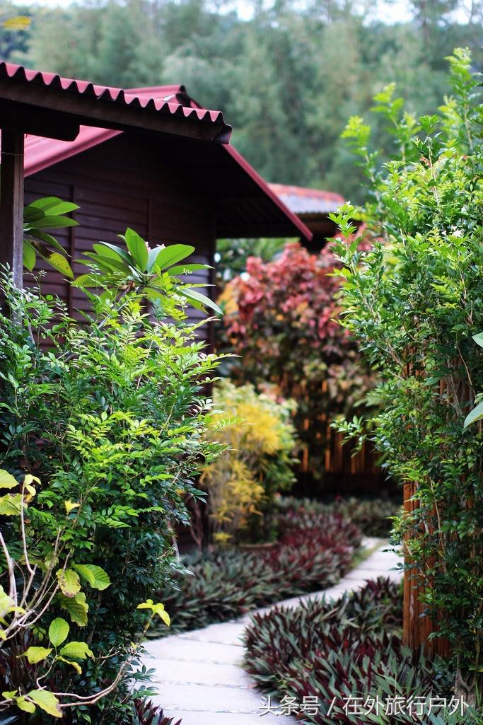 向往的生活去什么海岛,向往的生活要去海岛