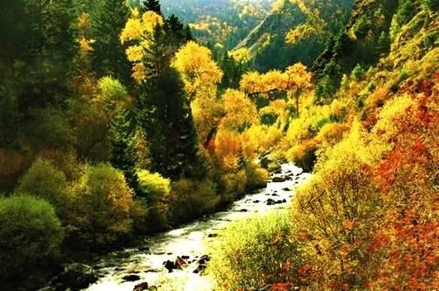 秋天甘南旅游攻略,看甘南草原风光