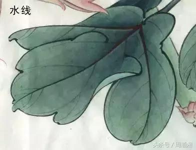 荷叶工笔画用什么方法渲染,工笔画渲染视频教程花卉