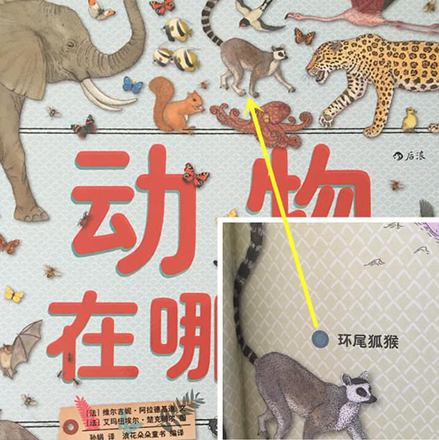 3-6岁必看的十本绘本,一岁三个月幼儿绘本