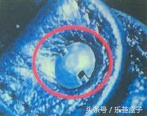 新时代态度-乐荟盒子奢侈品鉴定师Jerry教大家快速辨别CHANEL真假