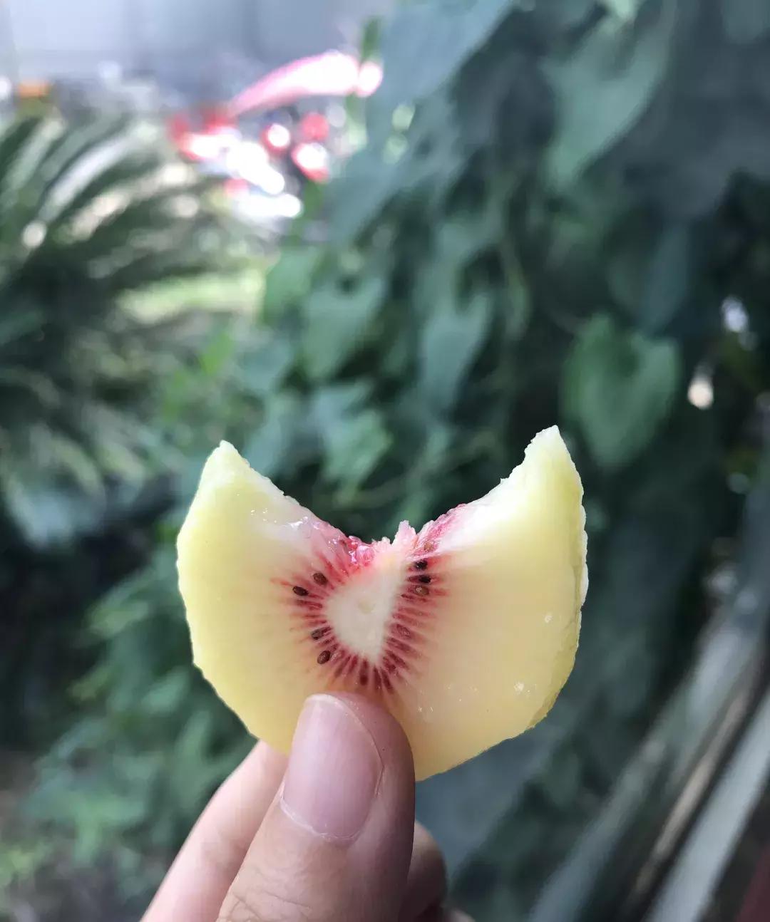 成都邛崃藏在深山中的世外桃源,成都邛崃最值得去的地方