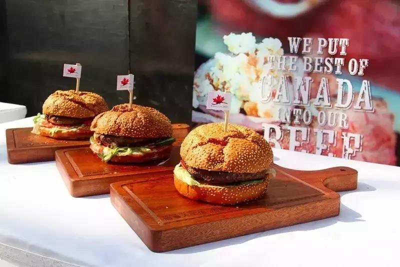 品味UP!河马总动员,一纸攻略打通河马生活节所有关卡