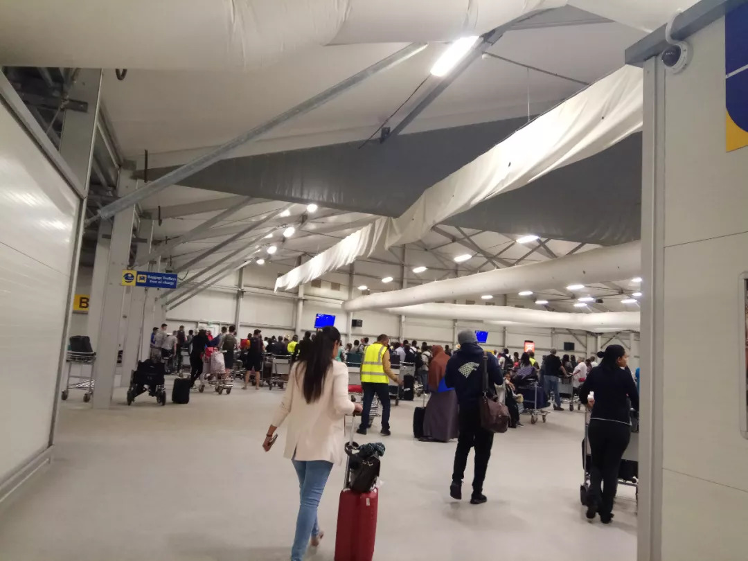 肯尼亚│我没有错过非洲，错过动物大迁徙