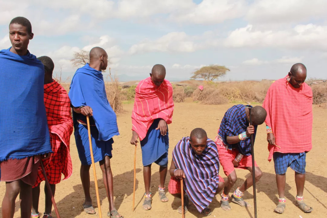 肯尼亚│我没有错过非洲，错过动物大迁徙