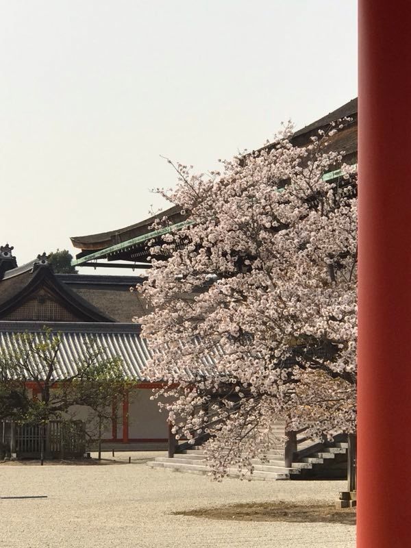 京都：徜徉在翻倦史书后的御所