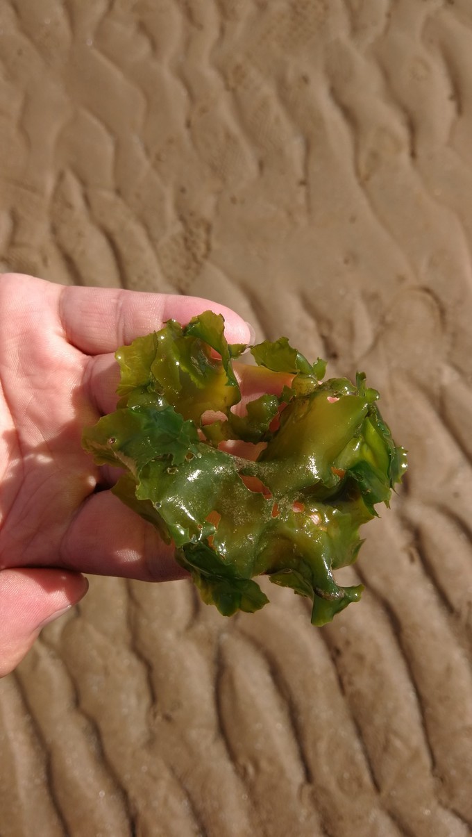 寻秦记旅游,寻秦记自驾旅游