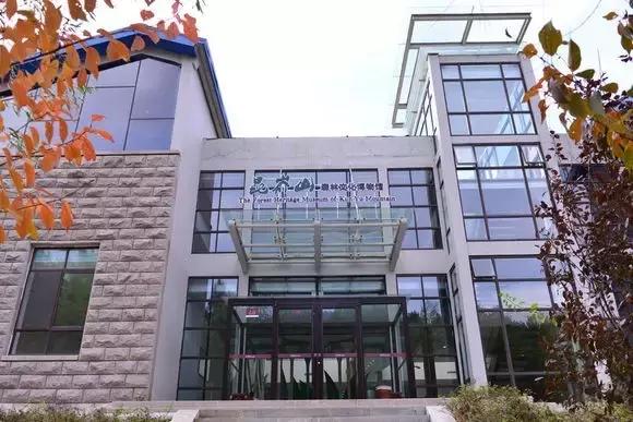 今天起,烟台这些东西统统免费!不知道你就亏大了!