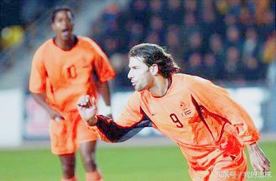 郁金香什么时候绽放,郁金香凋零