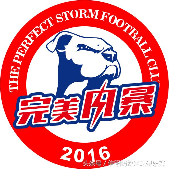 2017信阳足球约战排位赛,蚂蚁足球公园比赛