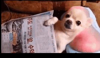 深圳社康中心是属于私人承包的吗,深圳5家社康中心