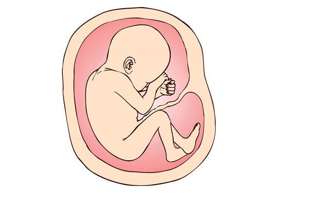 胎儿缺氧还会打嗝吗胎儿缺氧有何后果