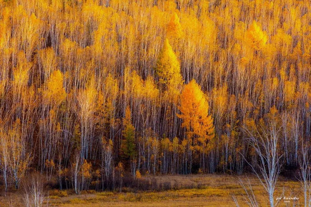 国内最美的十大海滨城市,国内最撩人的20个金秋童话