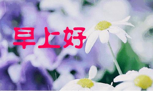 朋友愿你天天开心吉祥如意,朋友祝你年年十八你怎么回