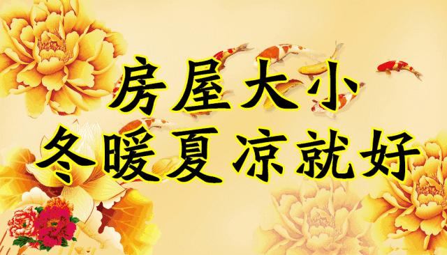 会动的图片一览表,会动的图片完整版